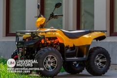 Статья | Новые отзывы о квадроцикле IRBIS ATV 200 PREMIUM | 18.04.2024